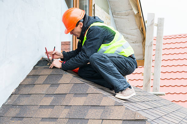 Best Metal Roofing Contractor  in Dove Valley, CO